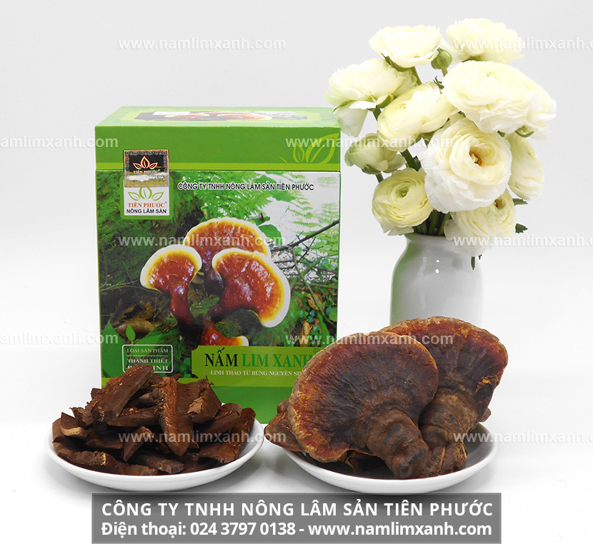 Đại lý phân phối của sản phẩm Nấm lim xanh chính hãng, chất lượng tại Sơn La