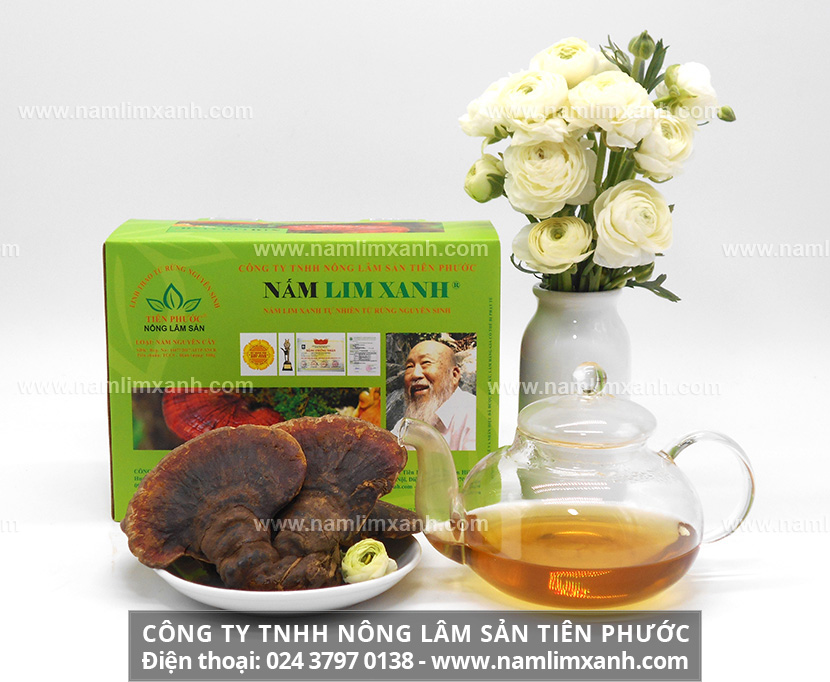 Giá nấm lim xanh của Công ty Nông lâm sản Tiên Phước ở TP. Hồ Chí Minh