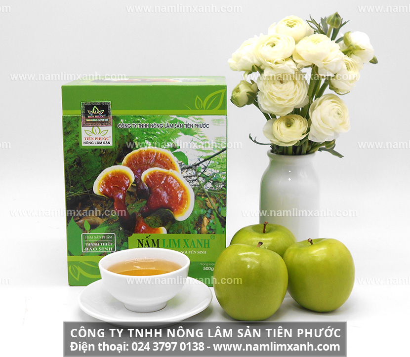 Mua nấm lim xanh ở Nghệ An và giá bán nấm lim xanh loại nguyên cây