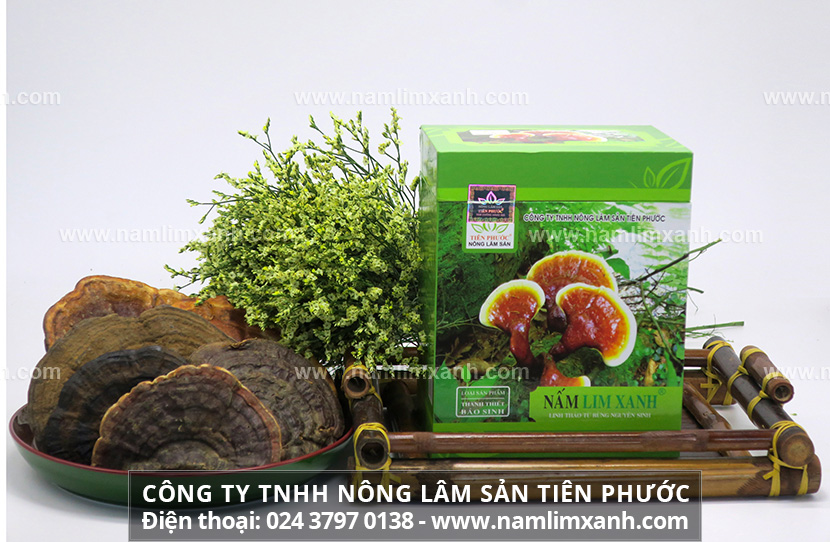 Mua sản phẩm Nấm lim xanh ở đâu chính hãng ở Tây Ninh