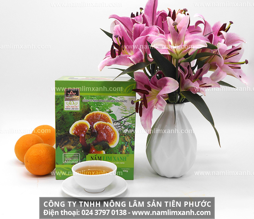 Nấm lim xanh có tác dụng điều trị nhiều chứng bệnh như cao huyết áp, tiểu đường, chống viêm nhiễm, giảm lão hóa,...