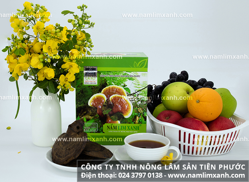 Giá nấm lim xanh của Công ty Nông lâm sản Tiên Phước ở TP. Hồ Chí Minh