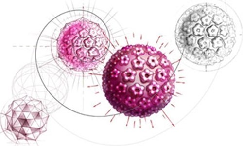 Virus gây ung thư cổ tử cung