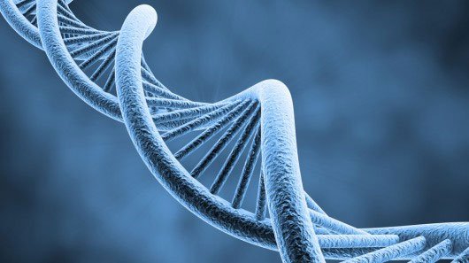 Nghiên cứu mới chỉ ra bị ung thư là do lỗi của ADN