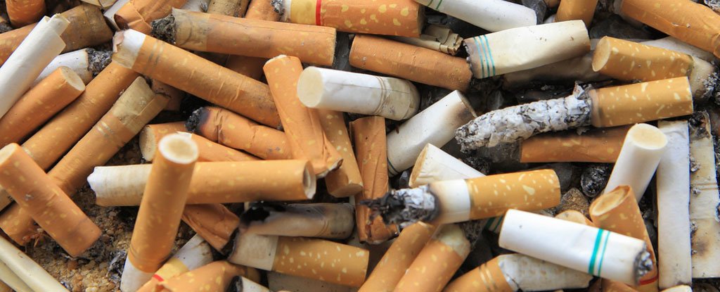 Đầu lọc thuốc lá gây ung thư phổi