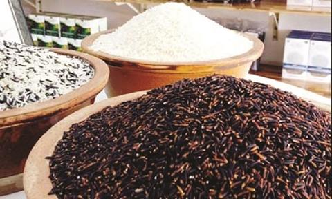 Loại gạo “dược liệu” có khả năng chữa bệnh ung thư