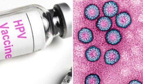 HPV phòng ngừa ung thư cổ tử cung