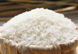 Giống lúa P6 đột biến là loại gạo gây ung thư