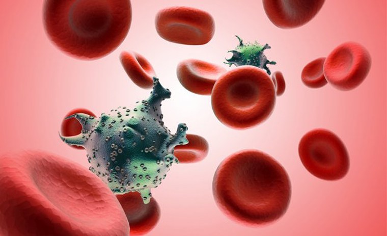 Tế bào ung thư máu ở người