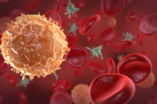 Tế bào gốc - chữa trị ung thư máu