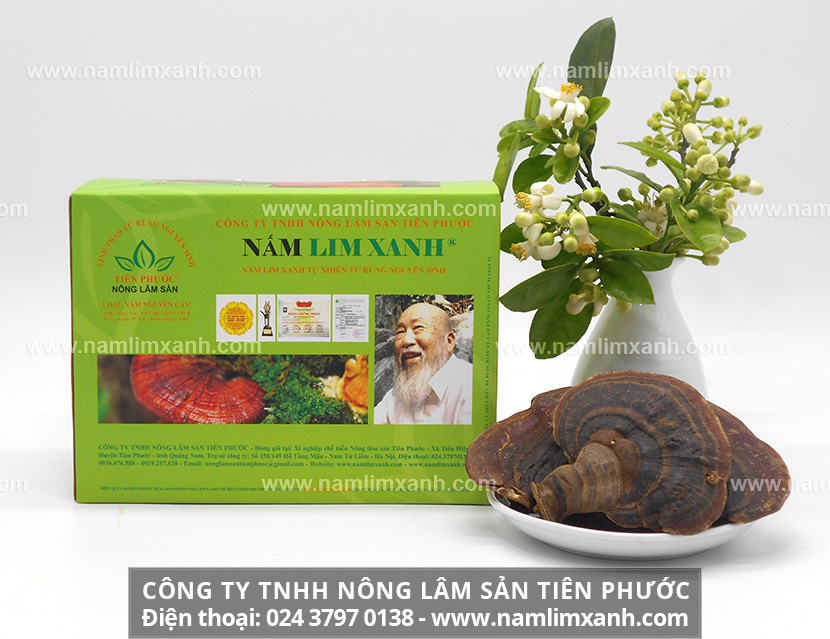 Các dược chất có trong nấm lim xanh có tác dụng chuyển hóa tinh bột và chất béo làm giảm khả năng thèm ăn, đốt cháy và đào thải lượng mỡ thừa