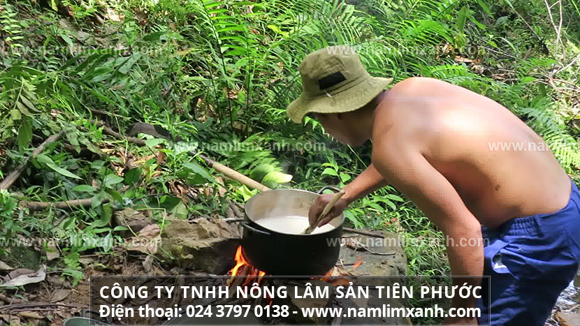 Cách bảo quản nấm lim xanh rừng