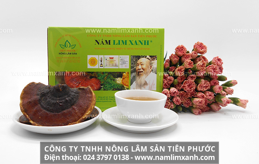 Cách chế biến nấm lim xanh là đun nước uống và tác dụng của nước nấm lim