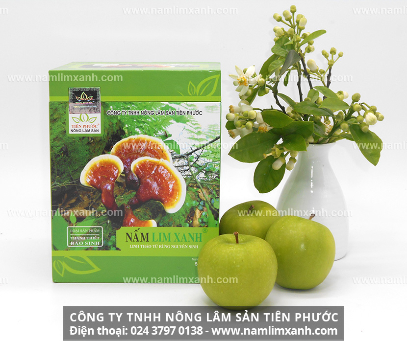 Cách chọn mua nấm lim xanh chuẩn và sử dụng nấm lim xanh sắc nước