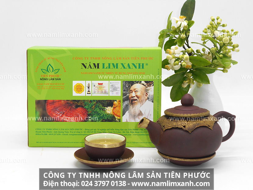 Cách dùng nấm lim xanh giảm cân và sử dụng nước sắc nấm lim giảm cân