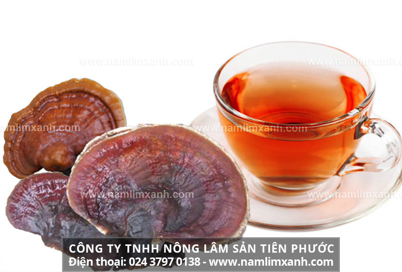 Cách dùng nấm lim xanh khô chữa bệnh và cách nấu nước nấm lim xanh khô