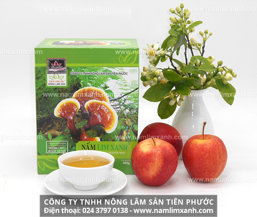 Cách dùng nấm lim xanh sắc nước ngâm rượu và cách sử dụng nấm lim rừng