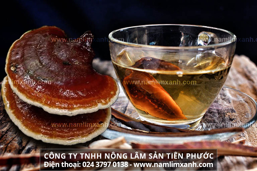 Cách nấu nấm lim xanh mang lại nhiều dưỡng chất nhất