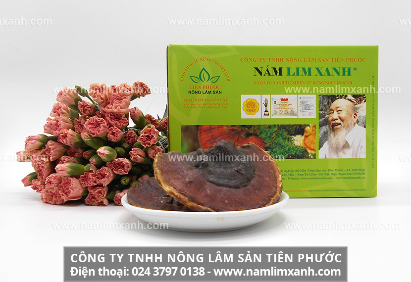 Cách sử dụng nấm lim xanh Tiên Phước ngâm rượu