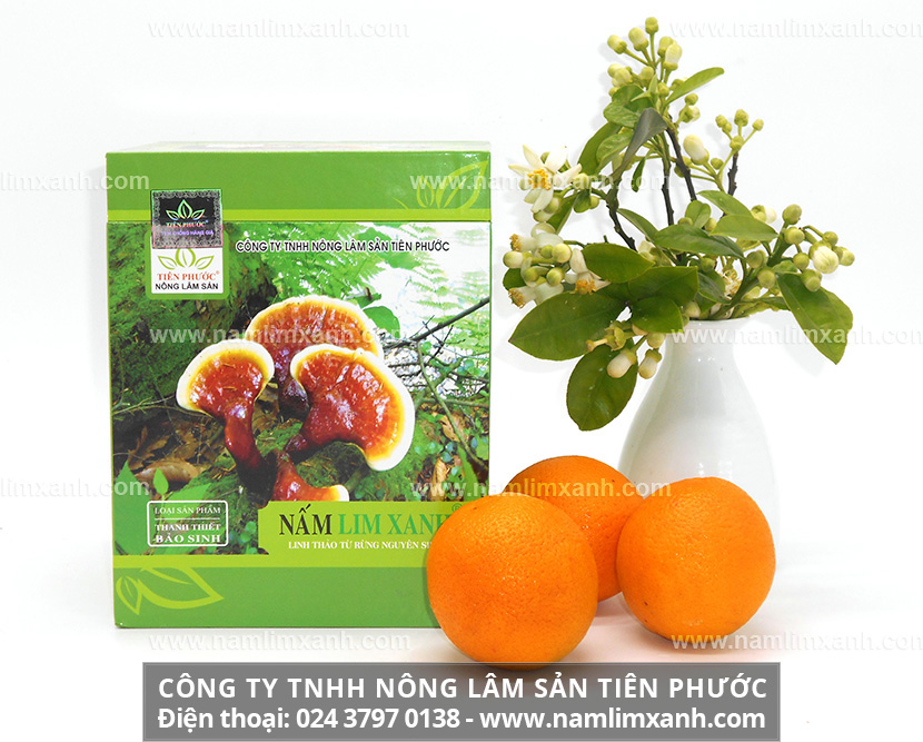 Cách tán bột nấm lim xanh