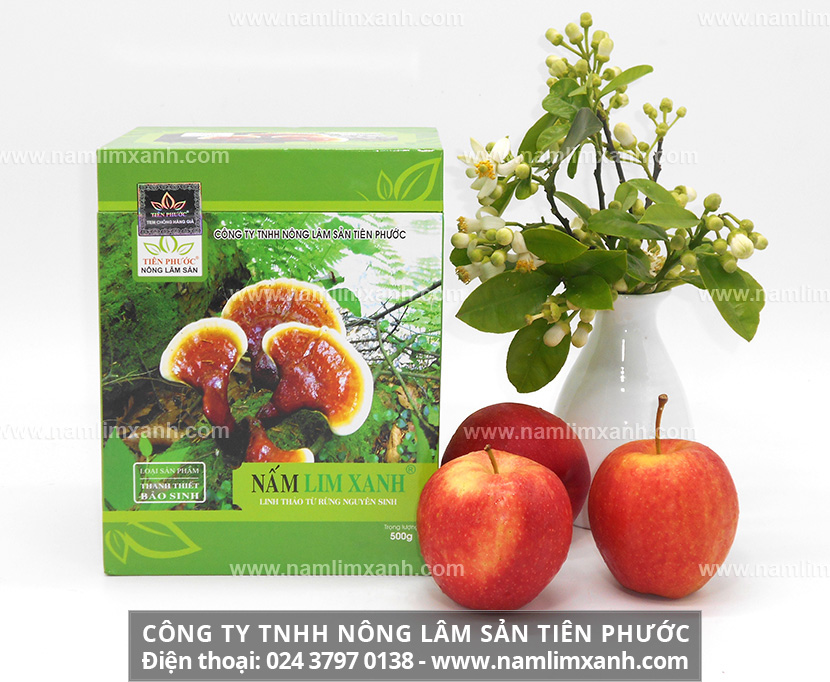 Cách thu mua nấm lim xanh chất lượng và Sản phẩm nấm lim xanh rừng của công ty luôn có giá bán niêm yết và công khai.