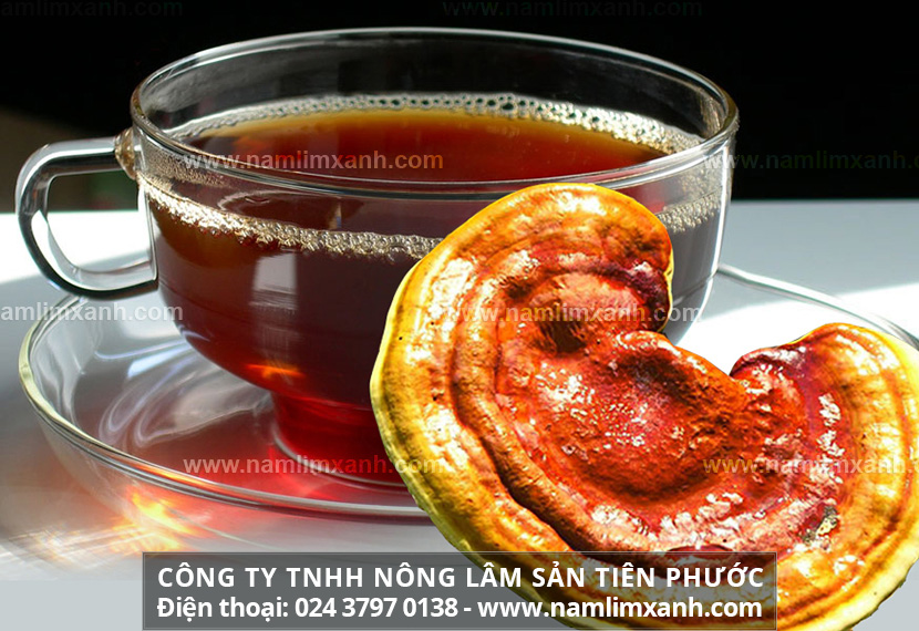 Cách uống nấm lim xanh để có tác dụng tốt nhất