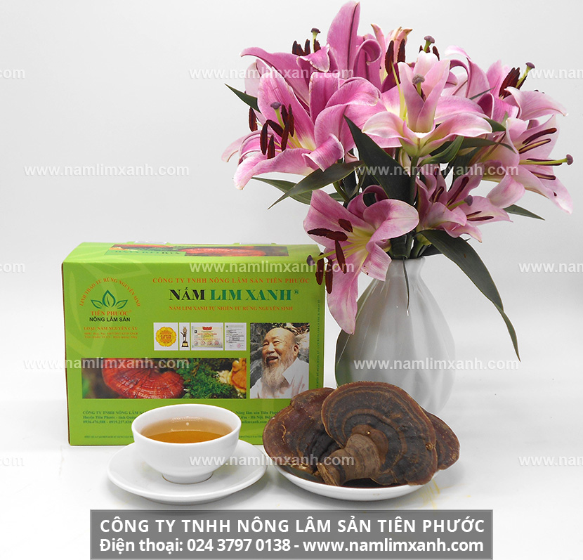 Cách uống nấm lim xanh rừng điều trị ung thư vú như thế nào