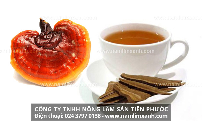 Cách uống nấm lim xanh và nước nấm lim còn giúp phòng ngừa bệnh tật, nâng cao các chức năng cho cơ thể.