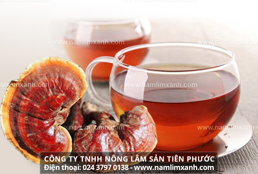 Chỉ dẫn chi tiết cách chế biến nấm lim xanh