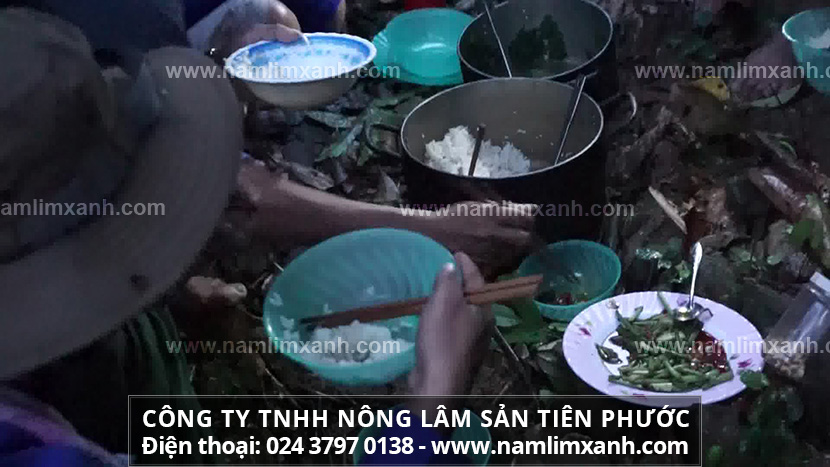 Công dụng của nấm lim xanh tự nhiên