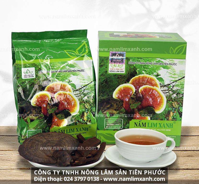 Công dụng hỗ trợ điều trị ung thư phổi của nấm lim xanh tự nhiên