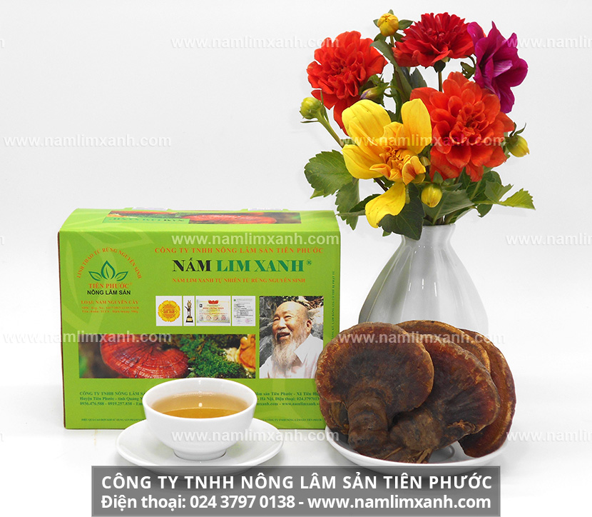 Địa chỉ bán nấm lim xanh chính hãng tại Hà Nội