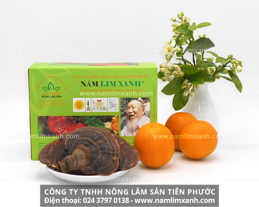 Địa chỉ bán nấm lim xanh rừng tại Hà Nội