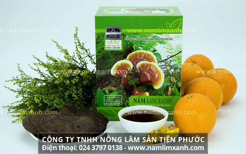 Địa chỉ bán nấm lim xanh tin cậy ở TP.HCM