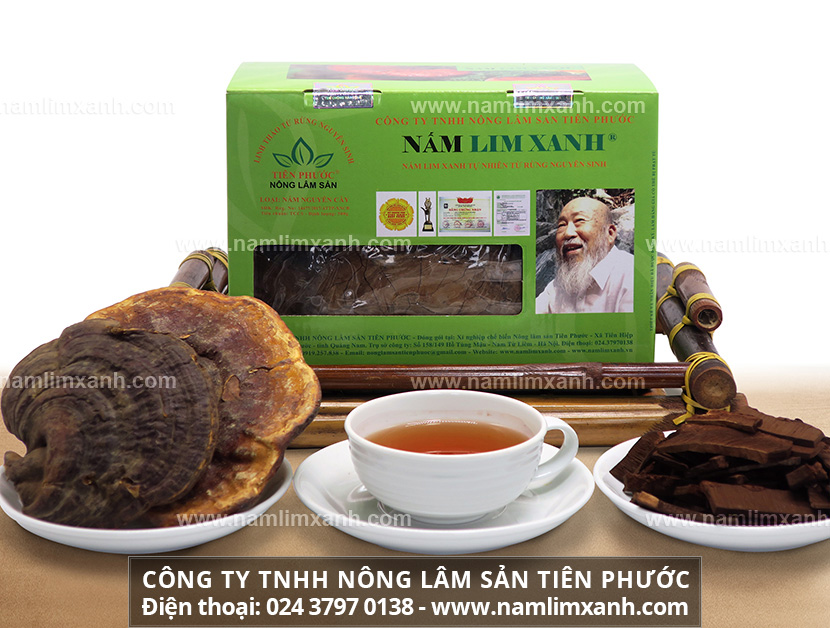 Địa chỉ bán nấm lim xanh tin cậy và nơi mua nấm lim xanh ở Hà Nội