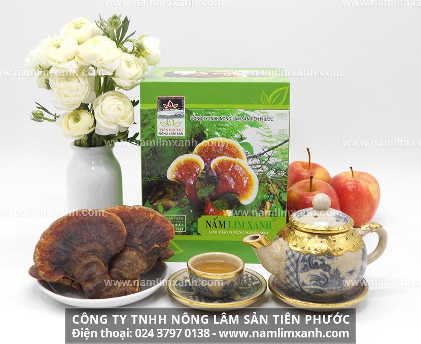 Địa chỉ cần bán nấm lim xanh uy tín