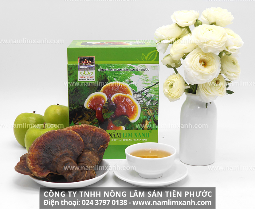 Đun lấy nước uống là cách sử dụng nấm lim xanh Quảng Nam tốt nhất