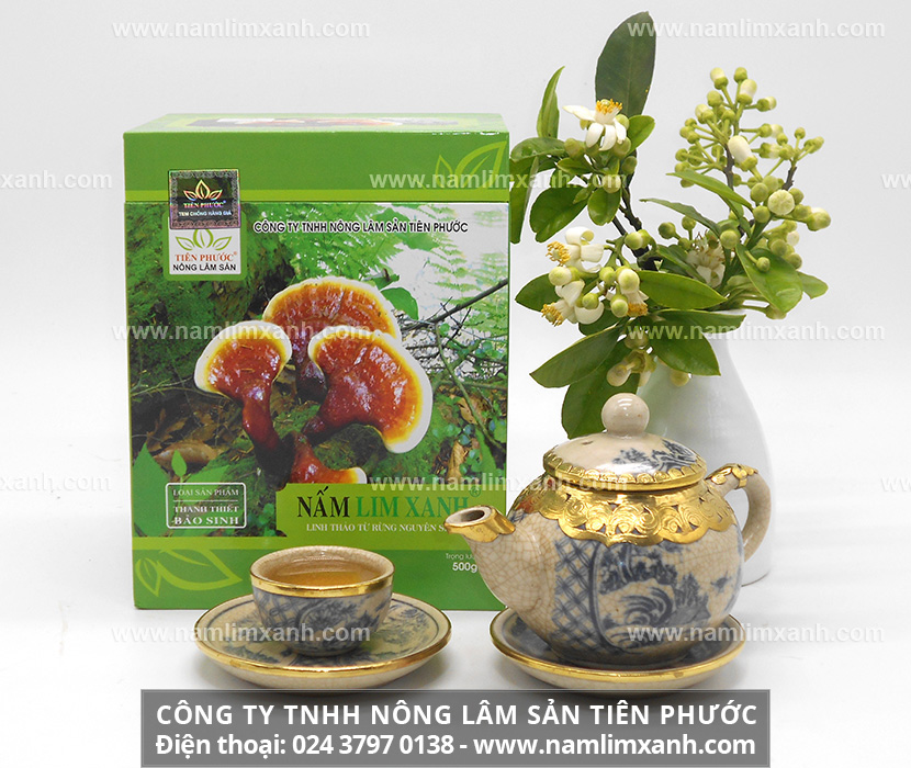 Dùng nấm lim xanh như thế nào cách dùng nấm lim xanh tự nhiên hãm trà