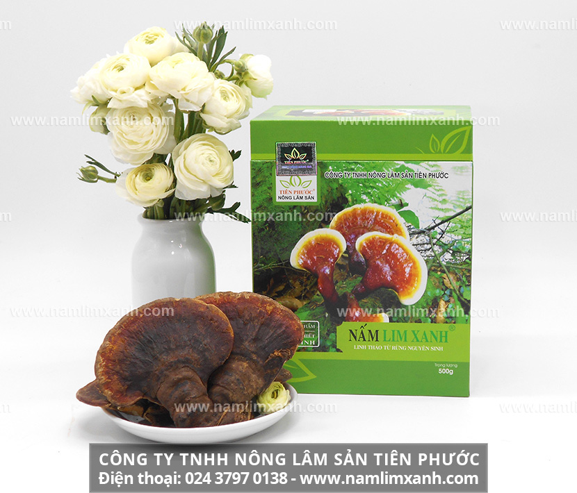 Giá 1kg nấm lim xanh Công ty TNHH Nông lâm sản Tiên Phước 