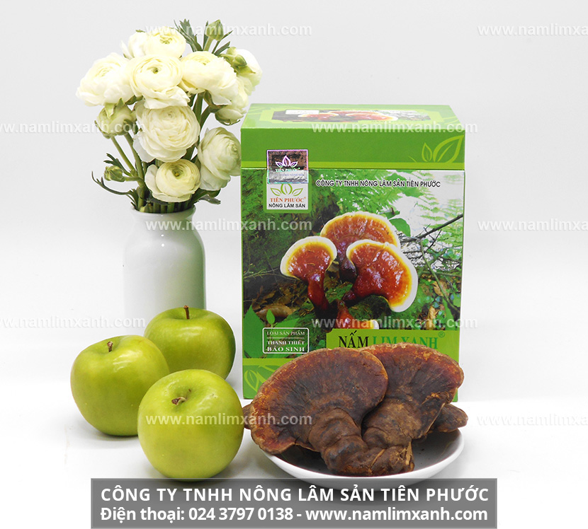 Giá bán 1kg nấm lim xanh Công ty TNHH Nông lâm sản Tiên Phước 