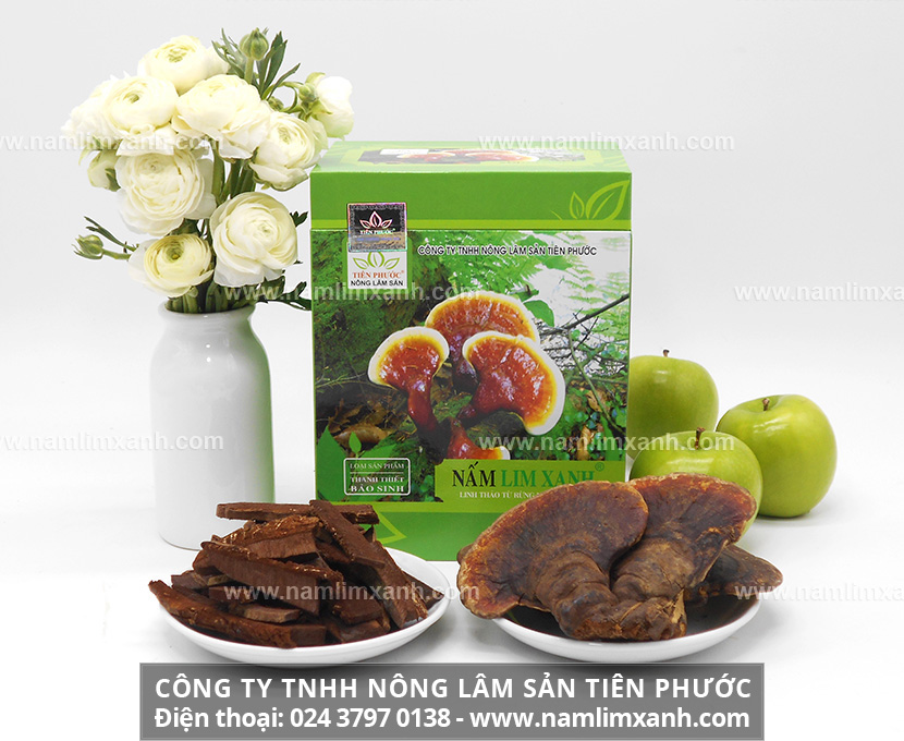 Giá bán nấm lim xanh Công ty TNHH Nông lâm sản Tiên Phước 