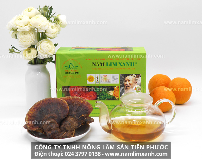 Giá bán nấm lim xanh tự nhiên trên thị trường