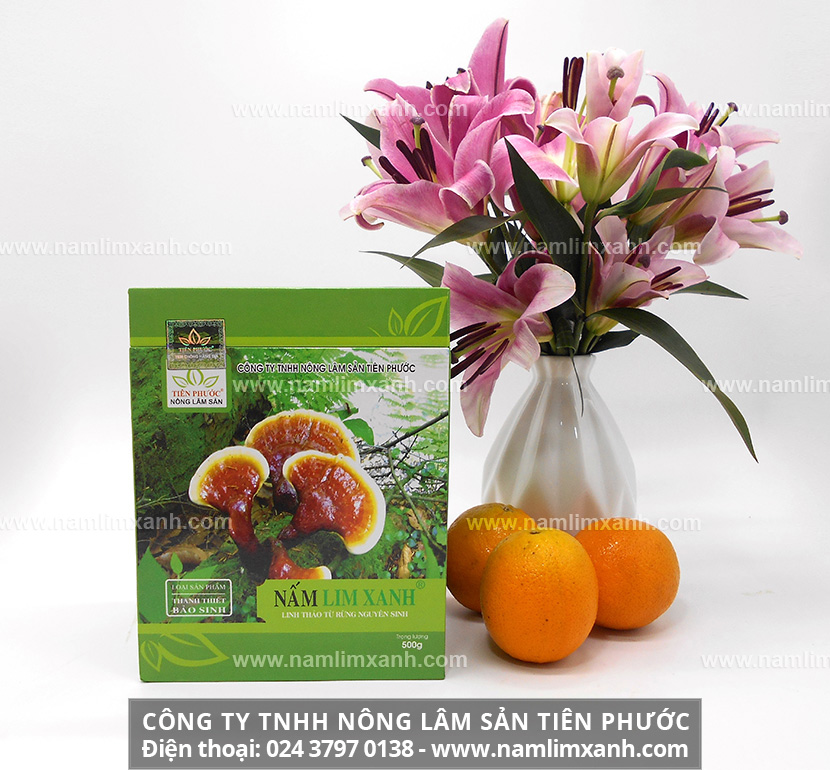 Giá cả của nấm lim xanh trên thị trường hiện nay như thế nào