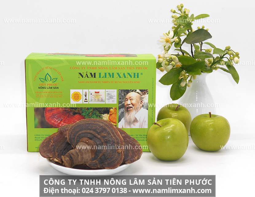 Giá nấm lim xanh Quảng Nam trên thị trường và mức giá các sản phẩm nấm gỗ lim tự nhiên của công ty