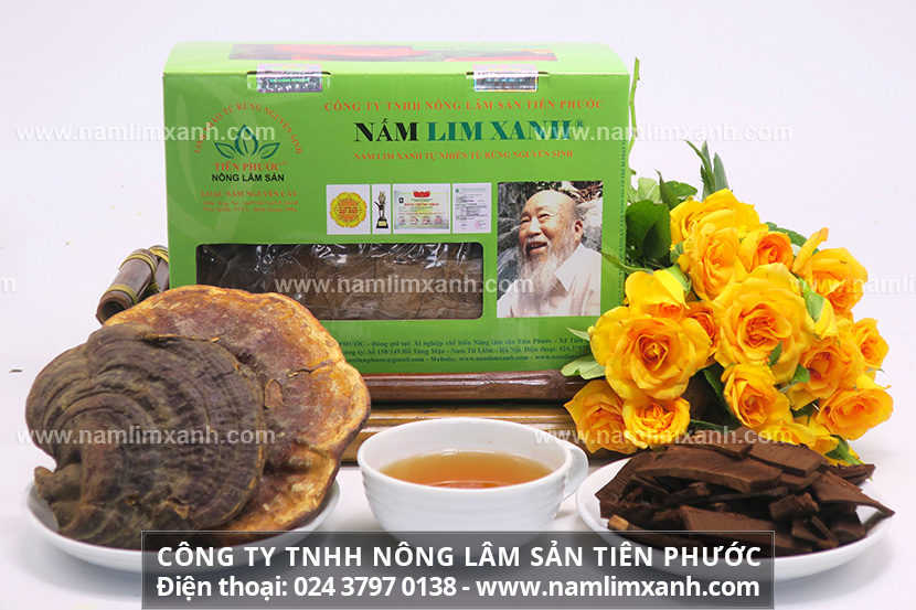 Giá thành nấm lim xanh bao nhiêu chính hãng và địa chỉ mua uy tín