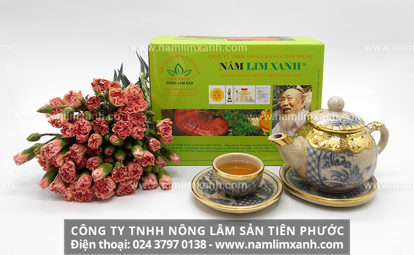 Giảm cân bằng nấm lim xanh có hiệu quả không công dụng nấm lim giảm cân