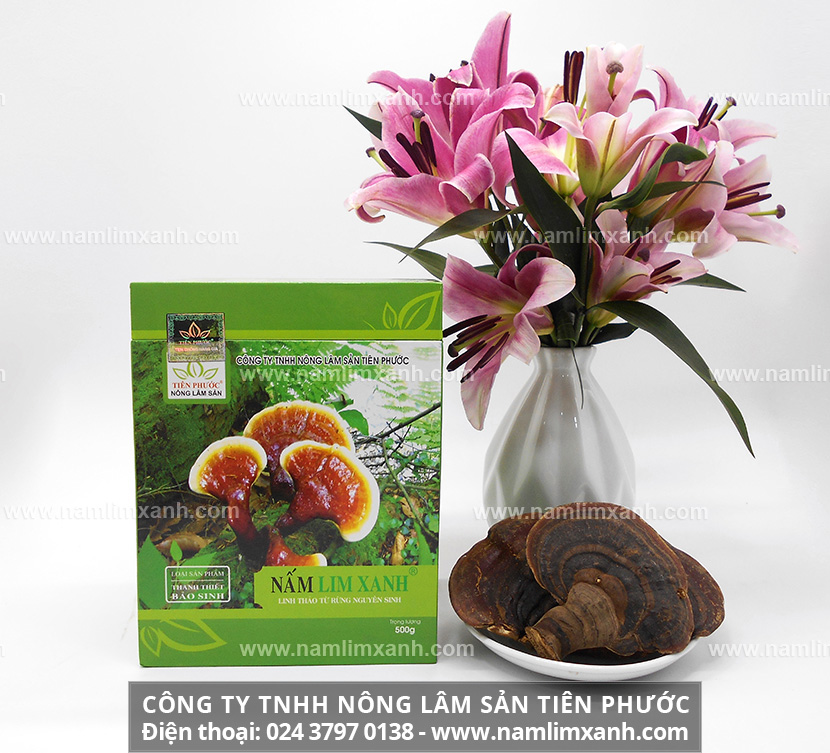 Lưu ý khi uống nấm lim xanh tránh tác dụng phụ