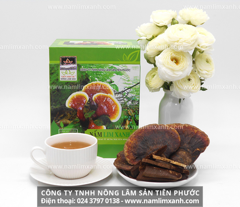 Mua nấm lim xanh chuẩn ở Đà Nẵng và địa chỉ bán nấm lim uy tín