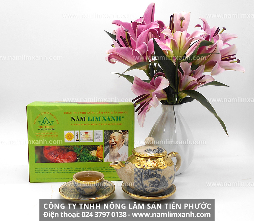 Mua nấm lim xanh ở đâu chính hãng và nơi mua nấm lim Công ty Tiên Phước