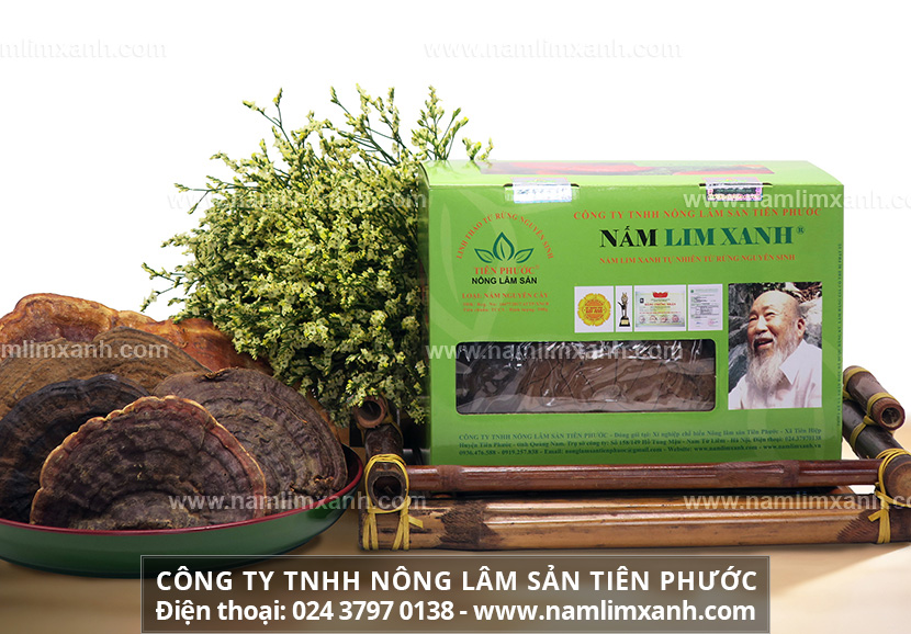 Nấm lim xanh bị mọt có dùng được không và cách bảo quản nấm lim xanh chuẩn